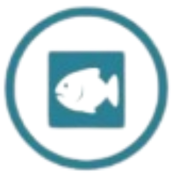 Pescado